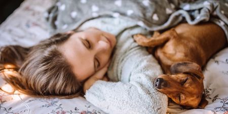 Women sleep better with a dog in their bed than a man, science says