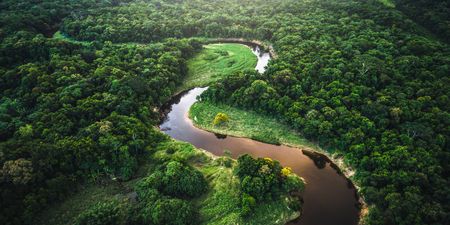 Amazon rainforest emitting more CO2 than it absorbs for first time