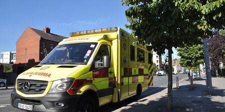 Young girl seriously injured following dog attack in Donegal