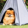 Aldi is selling an outdoor teepee for your dog