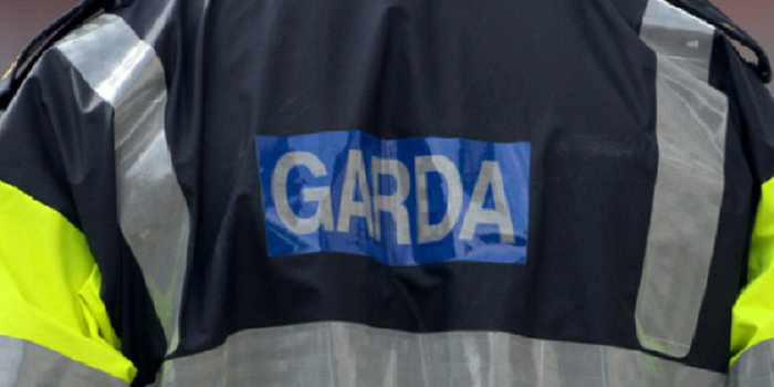 The back of a Garda's vest.