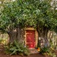 Winnie the Pooh’s hundred acre wood cottage is on Airbnb now