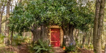 Winnie the Pooh’s hundred acre wood cottage is on Airbnb now