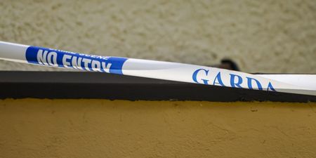 Gardaí fear toddler witnessed attack at home in Blanchardstown