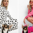 You can now get matching Halloween costumes for you and your dog