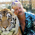 Joe Exotic diagnosed with “aggressive” form of cancer
