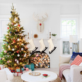 The correct date you should be putting up your Christmas tree has been revealed