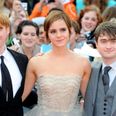 A Harry Potter TV reunion could be in the works