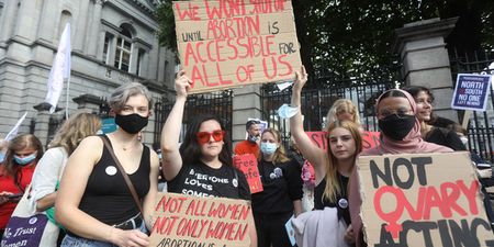 Safe Access Zones bill passes second stage at Seanad