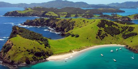 New Zealand plans to reopen to tourists after 2 years
