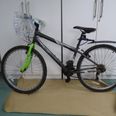 Gardaí appealing for information surrounding bike connected with murder of Ashling Murphy