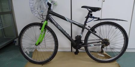 Gardaí appealing for information surrounding bike connected with murder of Ashling Murphy