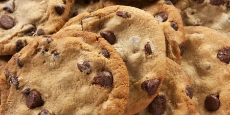 2-year-old girl tragically passes away after ‘eating poisoned cookie meant for dog’