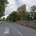 12 year old driver dies after collision in Limerick
