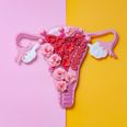 Is it time for endometriosis to be classed as a disability?