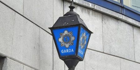 Dog’s remains discovered in bin in south Dublin