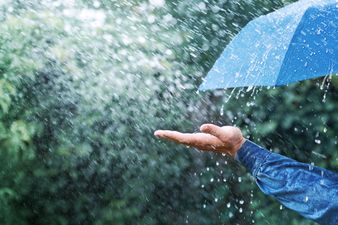 Status Yellow warning issued for 10 counties with wind and rain on the way