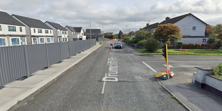 Woman and two children targeted by group of men in daylight as Gardai appeal issued