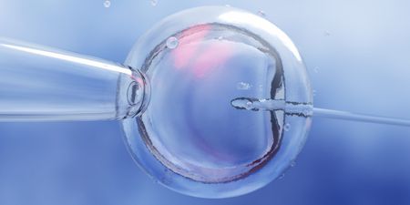 Woman sues IVF clinic after they allegedly implanted stranger’s baby