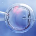 State funding for IVF to begin next year, Donnelly says