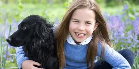 Seven today! Princess Charlotte beams in new birthday pictures taken by her mum