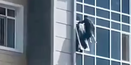 Man saves 3-year-old girl’s life as she falls from eighth floor window