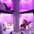 Airline to launch world-first economy bunk beds for long-haul flights