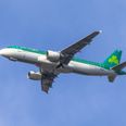 Aer Lingus issue apology as more flights are cancelled