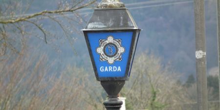 3-year-old boy dies after being struck by vehicle in Limerick