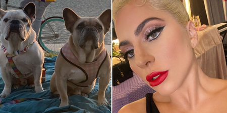 Man involved in Lady Gaga dog-walker robbery jailed for 4 years