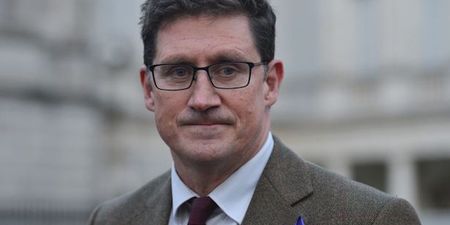 Eamon Ryan’s mother dies in tragic accident on family holiday
