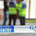Two children and a teenager have been killed in a fatal assault in Dublin