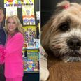Brian O’Driscoll brings the wrong dog home from the groomers