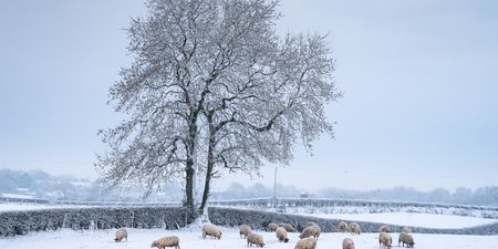 Snow on the way? Ireland set to be as cold as Iceland this winter