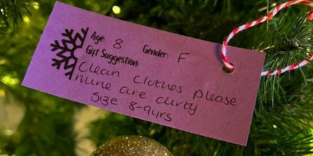 Heartbreaking letters to Santa on pub Christmas tree highlight cost of living crisis as children ask for ‘clean clothes’ and ‘anything’