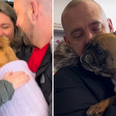 WATCH: DSPCA reunites family with stolen dog after two years