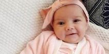 Family of baby girl killed by dog say the “pain is unbearable”
