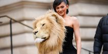 PETA defends Kylie Jenner’s lion head dress