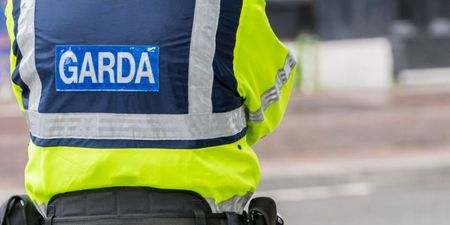 Skeletal remains discovered in Dublin as Gardaí investigate