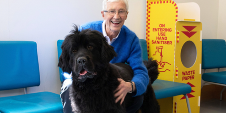 This is when Paul O’Grady’s final For The Love Of Dogs episode will air
