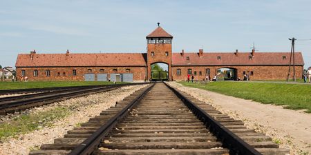 Woman sparks outrage after posing for photos on Auschwitz train tracks