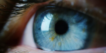 Every blue-eyed person is a descendant of one single human, according to scientists