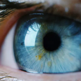 Every blue-eyed person is a descendant of one single human, according to scientists