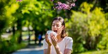 How to tell the difference between cold symptoms and hay fever