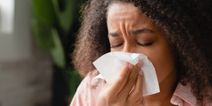 High pollen count on the way as doctors highlight difference between hay fever and a cold