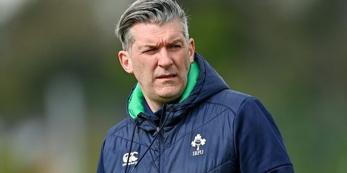 Greg McWilliams has stepped down as Ireland women's rugby coach