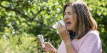 Expert tips to prevent hay fever disrupting your sleep this summer