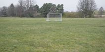 DSPCA urges families to remove goal posts from gardens each night amid rise in injuries