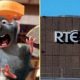 RTÉ staff canteen has been closed due to rat infestation