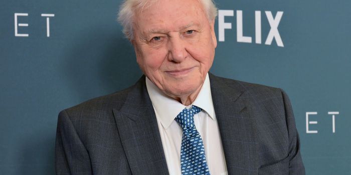 Sir David Attenborough set to return to present third season of Planet Earth